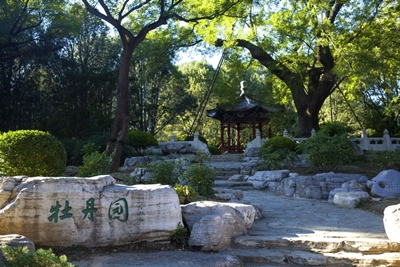 Беседка, ботанический сад