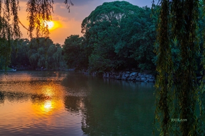 Пекинский университет, парк