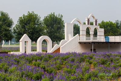 Архитектура, усадьба лаванды