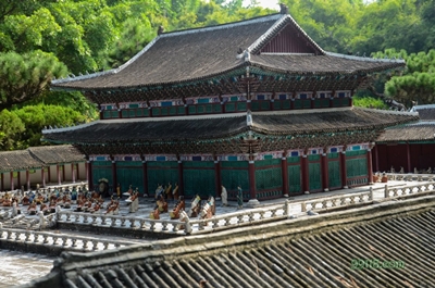 Парк Окно в мир