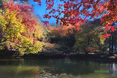 Осень, город Сучжоу