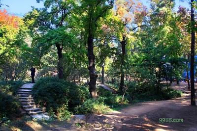 Сад, город Сучжоу