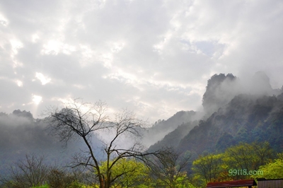 Туман, горы Улинъюань