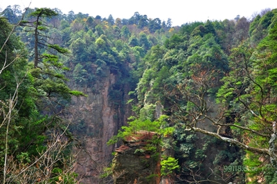 Зелень, горы Улинъюань