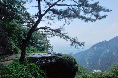 Сосна, Лушань