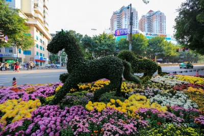 Парк хризантем, Фучжоу