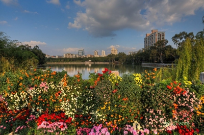 Парк хризантем, Фучжоу