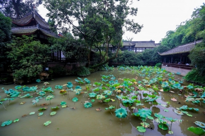 Озеро, Чэнду