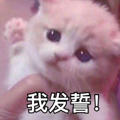 Клятва в китайском языке