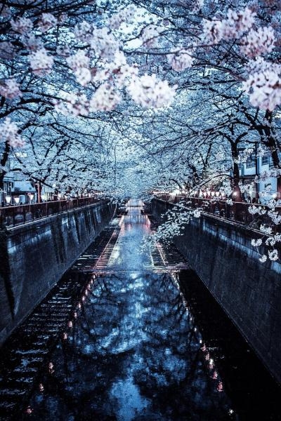 Разница между 美丽 и 漂亮 